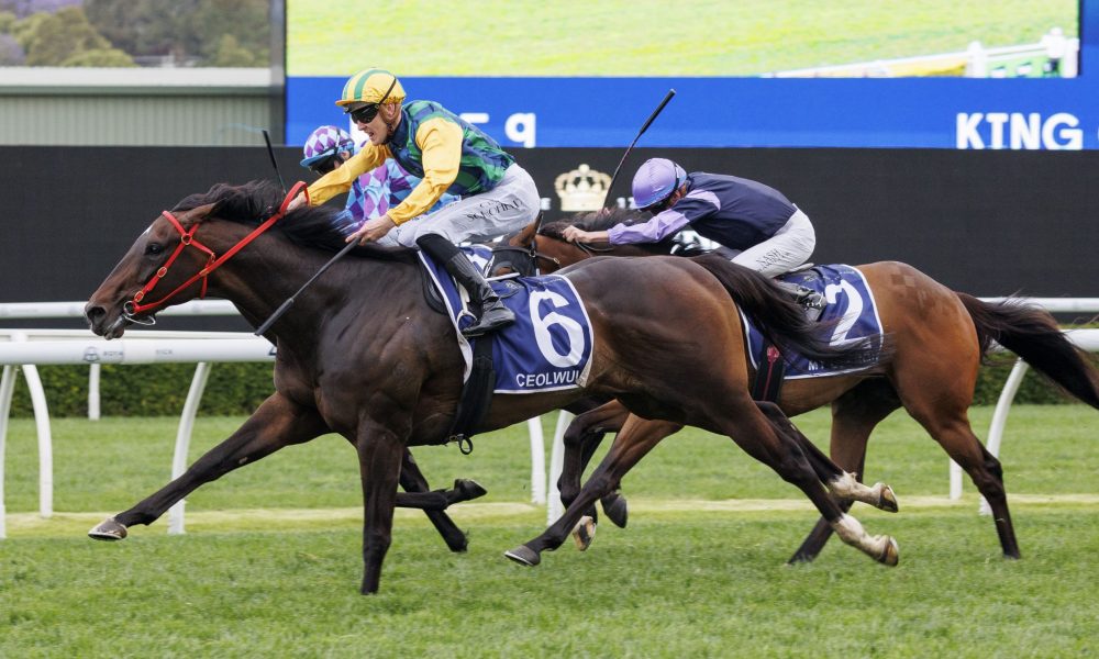 后更是得到 后更是得到