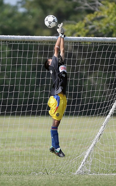 如何在保持 如何在保持