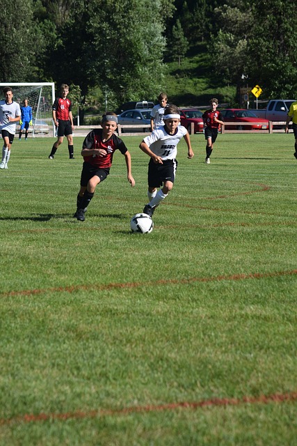 通过对大量 通过对大量