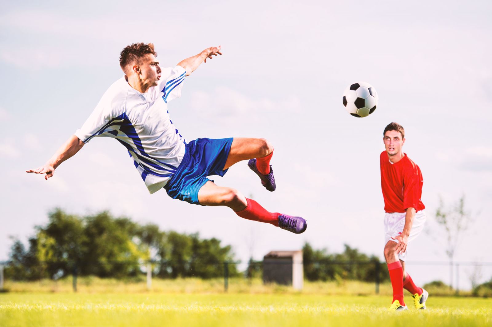 仅能让太阳 仅能让太阳