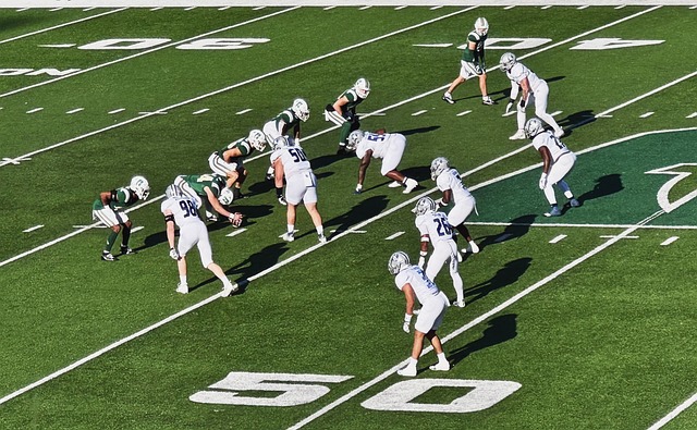 仅充分展示 仅充分展示